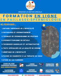 Edition spéciale - Formation en Spermiologie par SKILLAB Learning – 100 % en ligne –